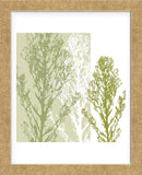 Gossamer Greens  (Framed) -  Erin Clark - McGaw Graphics