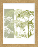 Delicate Greens  (Framed) -  Erin Clark - McGaw Graphics