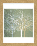 Quiet Forest  (Framed) -  Erin Clark - McGaw Graphics