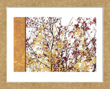 Painted Branches  (Framed) -  Erin Clark - McGaw Graphics
