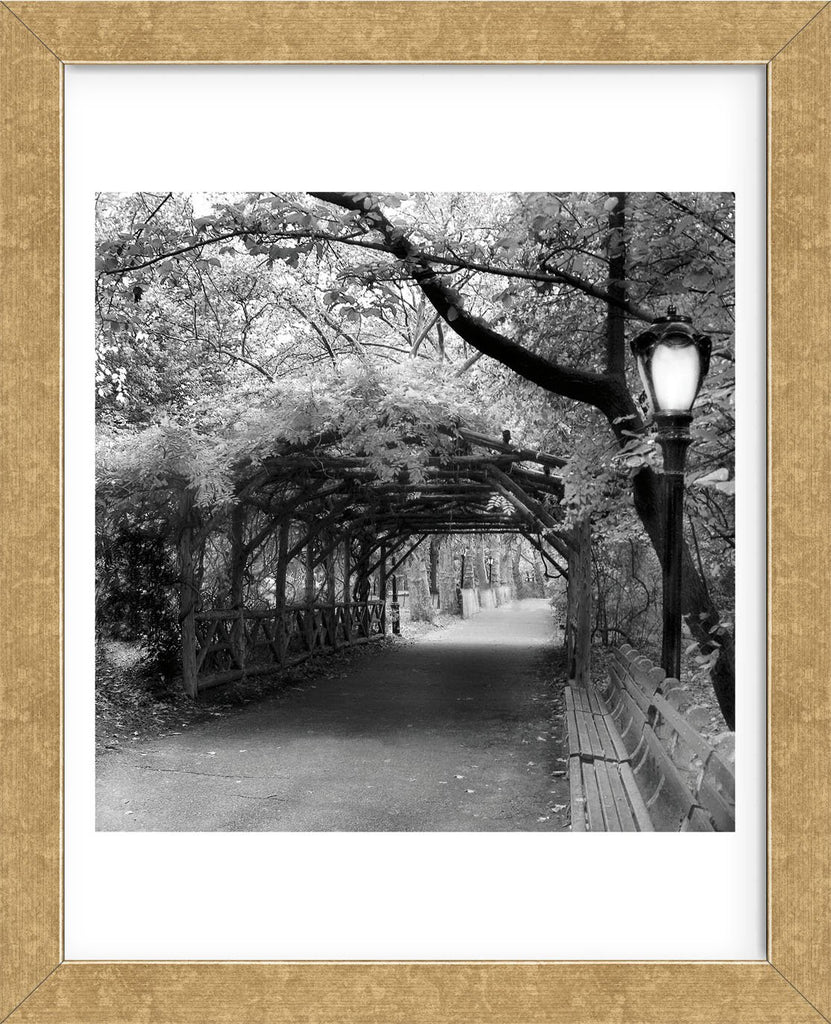 Central Park Pergola (Framed) | McGaw Graphics