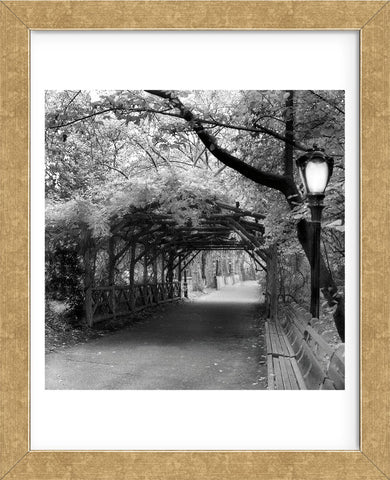 Central Park Pergola  (Framed) -  Erin Clark - McGaw Graphics