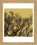 Rejoice II  (Framed) -  Erin Clark - McGaw Graphics