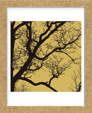 Rejoice IV  (Framed) -  Erin Clark - McGaw Graphics