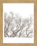 Majesty II  (Framed) -  Erin Clark - McGaw Graphics