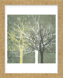 Silent Forest  (Framed) -  Erin Clark - McGaw Graphics