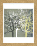 Tranquil Forest  (Framed) -  Erin Clark - McGaw Graphics