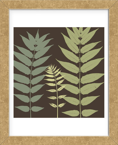 Field Botanical  (Framed) -  Erin Clark - McGaw Graphics