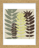 Garden Botanical  (Framed) -  Erin Clark - McGaw Graphics