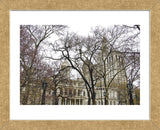 City Hall  (Framed) -  Erin Clark - McGaw Graphics