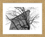 Flatiron with Tree (b/w)  (Framed) -  Erin Clark - McGaw Graphics