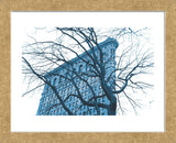 Blue Flatiron  (Framed) -  Erin Clark - McGaw Graphics