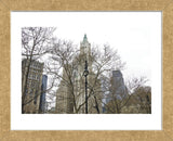 Woolworth Building from City Hall Park  (Framed) -  Erin Clark - McGaw Graphics