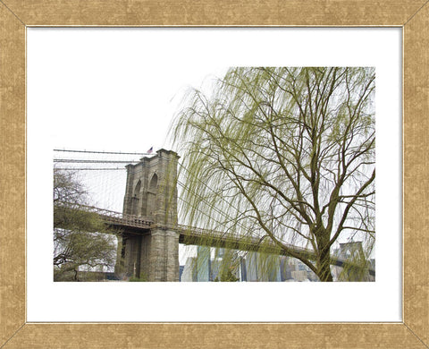 Brooklyn Bridge and Willow  (Framed) -  Erin Clark - McGaw Graphics