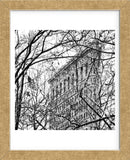 Veiled Flatiron Building (b/w) (detail)  (Framed) -  Erin Clark - McGaw Graphics