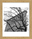 Flatiron with Tree (b/w) (detail)  (Framed) -  Erin Clark - McGaw Graphics