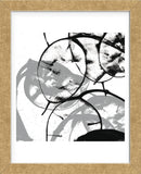 Silver Dollars V  (Framed) -  Erin Clark - McGaw Graphics