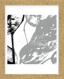 Silver Dollars VI  (Framed) -  Erin Clark - McGaw Graphics