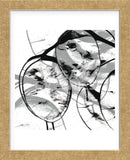 Silver Dollars VII  (Framed) -  Erin Clark - McGaw Graphics