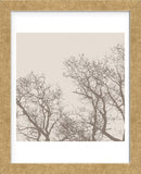 Majesty I (beige)  (Framed) -  Erin Clark - McGaw Graphics