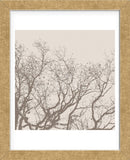 Majesty II  (beige)  (Framed) -  Erin Clark - McGaw Graphics