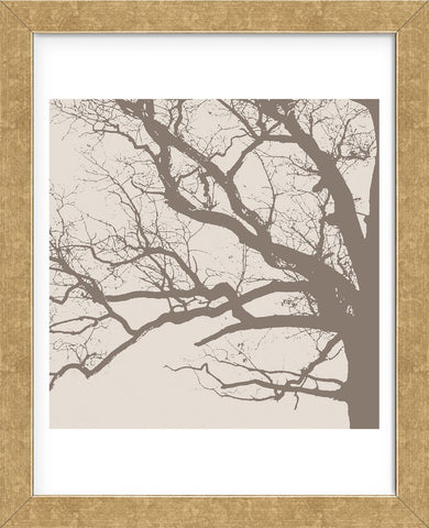 Majesty III  (beige)  (Framed) -  Erin Clark - McGaw Graphics