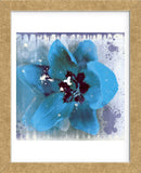 Tulip Fresco (blue) (Framed) -  Erin Clark - McGaw Graphics