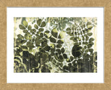 Dappled Radiance (Framed) -  Erin Clark - McGaw Graphics