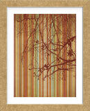 Amber Stripe (Framed) -  Erin Clark - McGaw Graphics