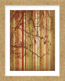 Auburn Stripe (Framed) -  Erin Clark - McGaw Graphics