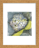 Antique Bloom (Framed) -  Erin Clark - McGaw Graphics