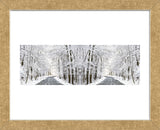 Two Roads Diverged in a Snowy Wood (Framed) -  Erin Clark - McGaw Graphics