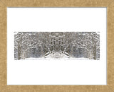 Winter Wonderland (Framed) -  Erin Clark - McGaw Graphics