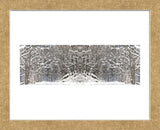 Winter Wonderland (Framed) -  Erin Clark - McGaw Graphics