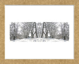 Winter Archway (Framed) -  Erin Clark - McGaw Graphics