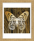 Butterflies & Leaves II (Framed) -  Erin Clark - McGaw Graphics