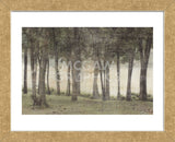 Forest (Framed) -  Erin Clark - McGaw Graphics