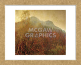 Autumn Colors 2 (Framed) -  Carlos Casamayor - McGaw Graphics