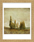 Autumnal Feelings (Framed) -  Carlos Casamayor - McGaw Graphics