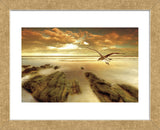 Soft Sunrise on the Beach 4 (Framed) -  Carlos Casamayor - McGaw Graphics