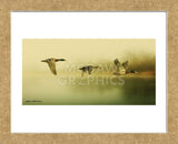 Ducks Flying (Framed) -  Carlos Casamayor - McGaw Graphics