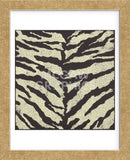 Zebra Skin (Framed) -  Susan Clickner - McGaw Graphics