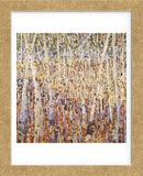 Birch Forest (Framed) -  Jean Cauthen - McGaw Graphics