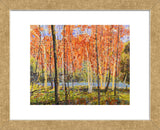 Forest Glow (Framed) -  Jean Cauthen - McGaw Graphics