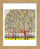 Silver Orchard (Framed) -  Jean Cauthen - McGaw Graphics
