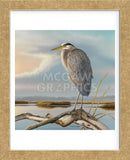 Marsh Watch - Great Blue Heron (Framed) -  Richard Clifton - McGaw Graphics