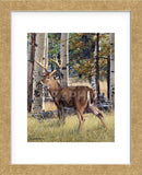 Fall Whitetail (Framed) -  Russell Cobane - McGaw Graphics