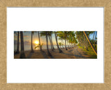 Palm Cove (Framed) -  Doug Cavanah - McGaw Graphics