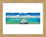 Palm Bay Paradise (Framed) -  Doug Cavanah - McGaw Graphics