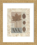 Copper Beech  (Framed) -  Denise Duplock - McGaw Graphics